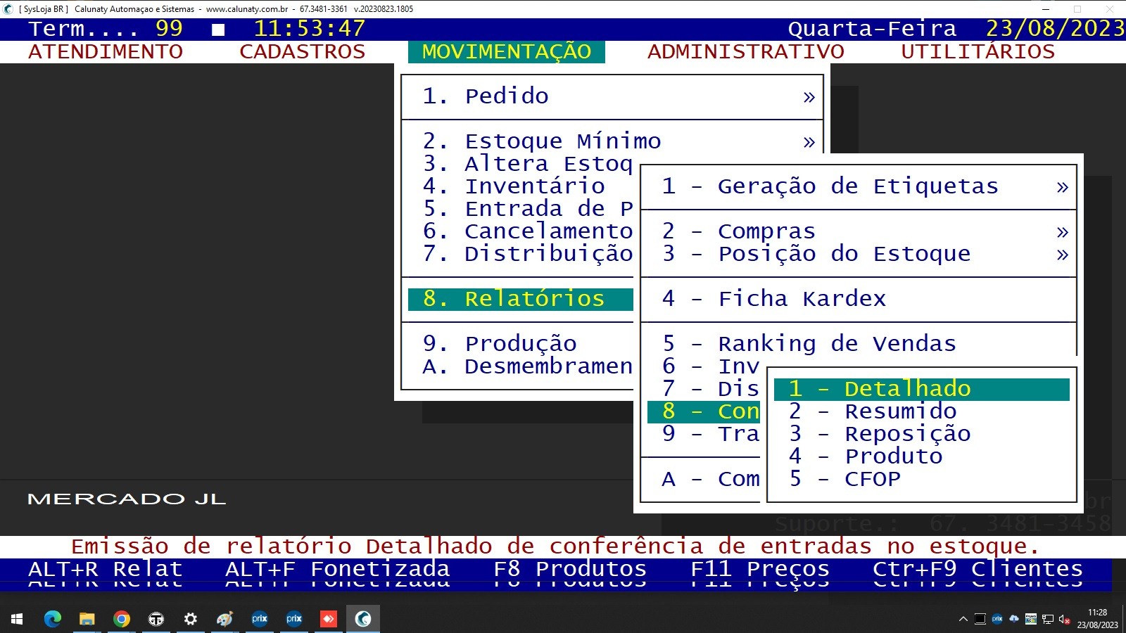 RELATORIO CONFERENCIA ENTRADA.jpg