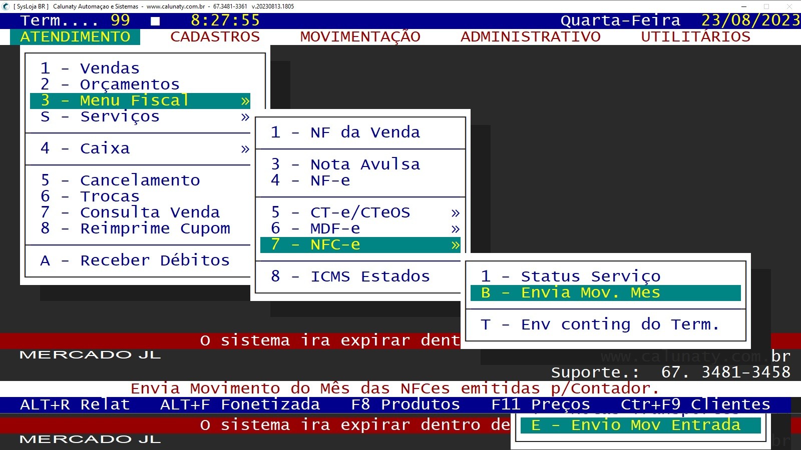 ENVIO MOVIMENTAÇÃO DE NFC-e.jpg